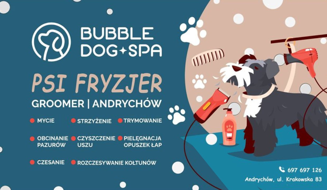 Psi fryzjer zaprasza. "Bubble Dog SPA" w Andrychowie wrzuc.info