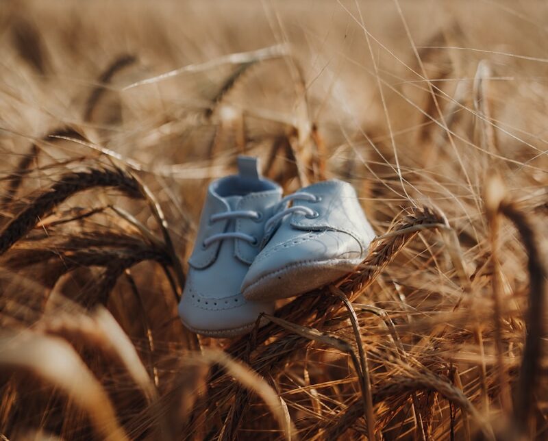 closeup photo of white shoes