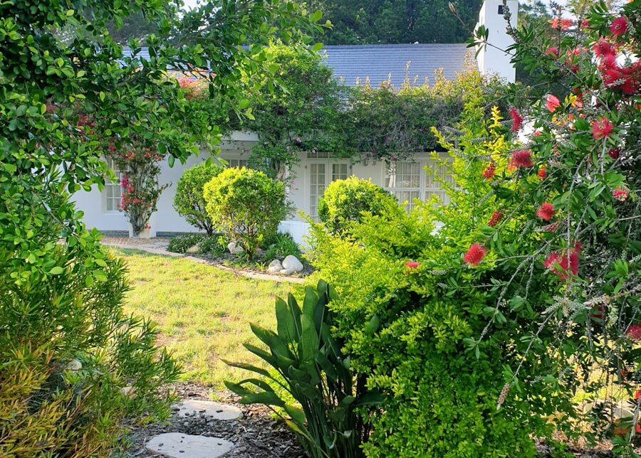green plants and trees near body of water during daytime
