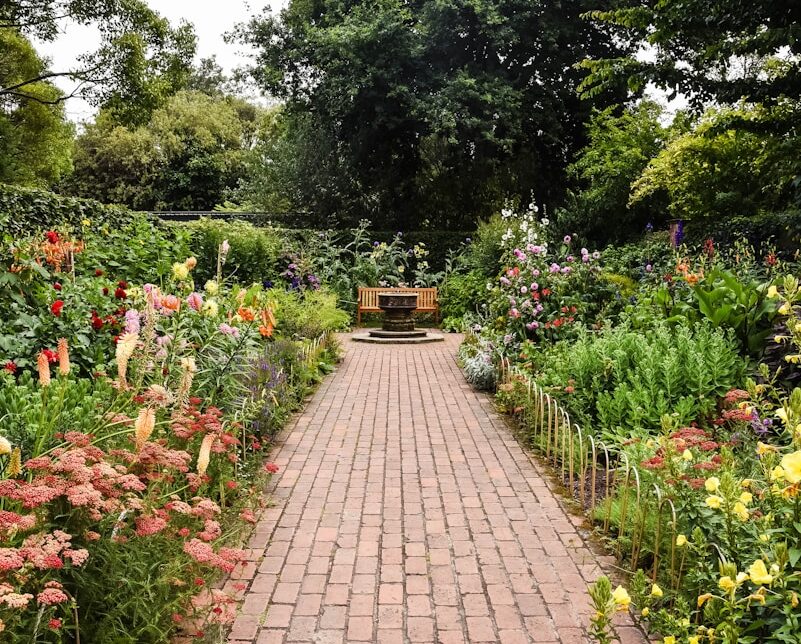 brown brick pathway between green plants during daytime
