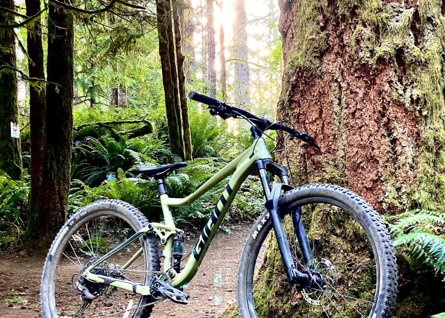 green and black mountain bike parked beside brown tree