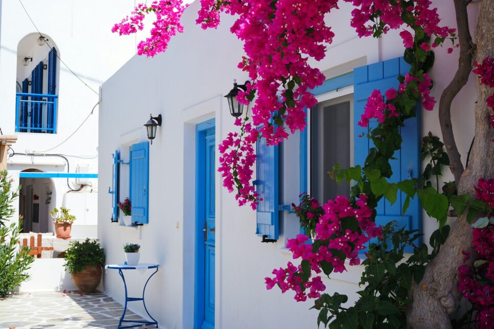 pink and white flower tree near blue and white concrete house during daytime