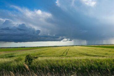 Szacowanie szkód w gospodarstwach rolnych i działach specjalnych produkcji rolnej.. Osiek