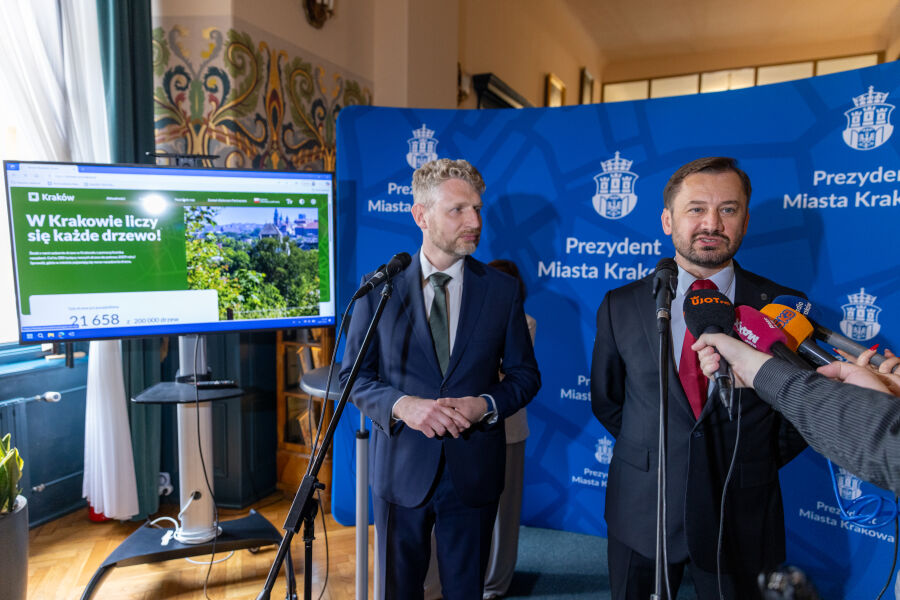 W Krakowie liczy się każde drzewo. Kraków