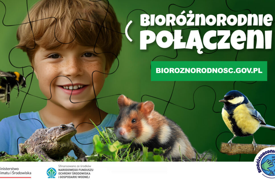 Kampania ekologiczna dla dzieci – Bioróżnorodnie połączeni. Gmina Gnojnik