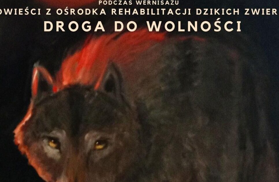 DZIKA SZTUKA. Artyści dla przyrody. Gorlice