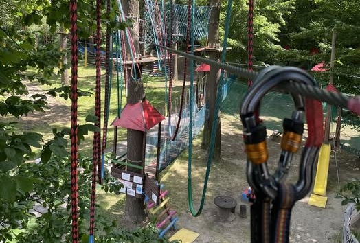 Park Linowy w Siarach – wakacyjna przygoda w koronach drzew. Gmina Sekowa