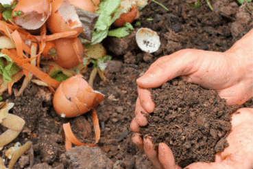 Chcesz kompostownik? Złóż wniosek już dziś!. Gmina Trzebinia