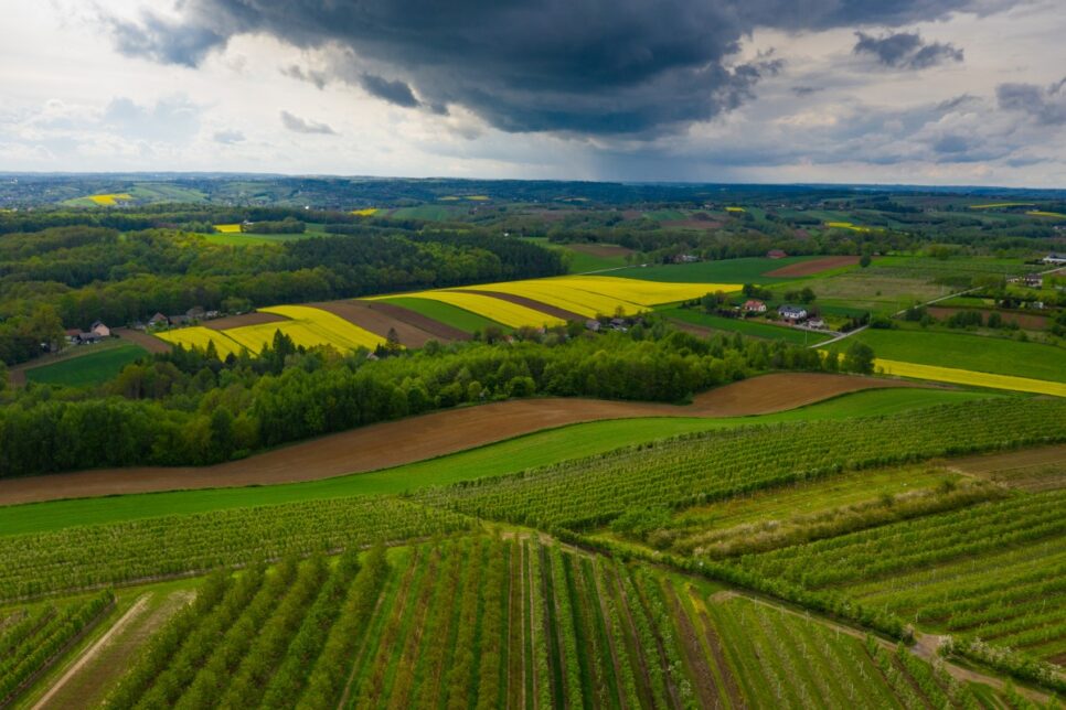 Nowy specjalista w Punkcie Wsparcia Rodziny w Michałowicach. Gmina Michałowice