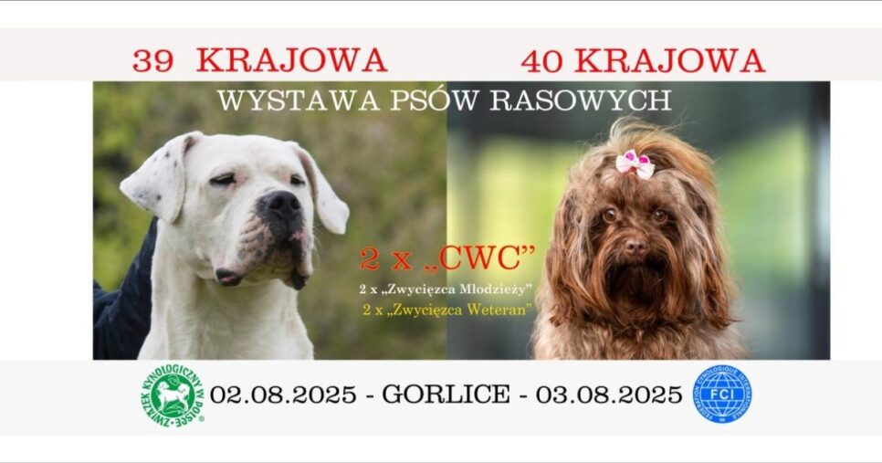 Krajowa Wystawa Psów Rasowych w Gorlicach – już 2 i 3 sierpnia!. Gorlice