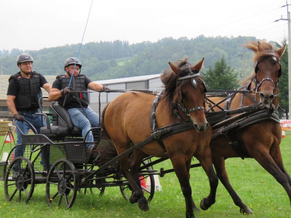 Półmaraton cross Laskowa 21 km – zaproszenie do udziału w górskich zawodach biegowych. Powiat limanowski