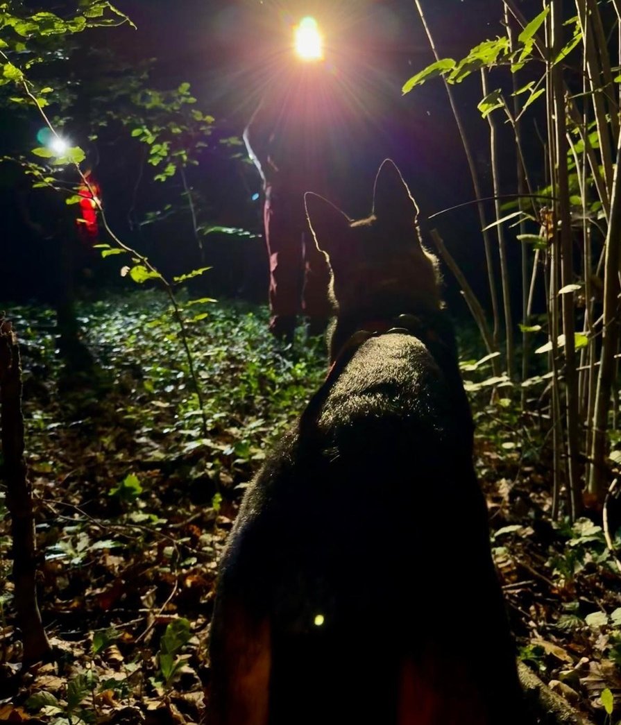 Nocne ćwiczenia poszukiwawcze. Kraków