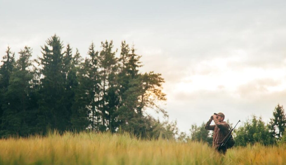 Kalendarz polowań zbiorowych koło „MYŚLIWIEC” w Lanckoronie na sezon 2025/2026 – obwód 108. Stryszów