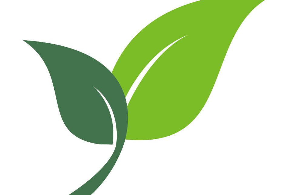 Czasowe zawieszenie wybranych kotłów na pellet na Liście ZUM. Gmina Szczurowa