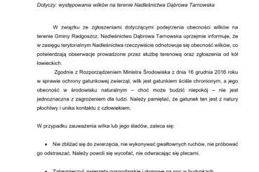 Obecność wilków na terenie gminy Radgoszcz. Gmina Radgoszcz
