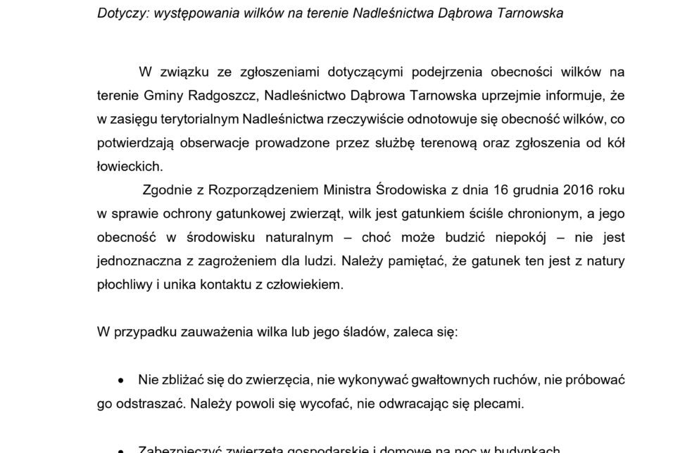 Obecność wilków na terenie gminy Radgoszcz. Gmina Radgoszcz