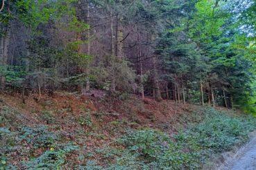 Szczęśliwe zakończenie dwóch poszukiwań w Andrychowie . Wadowice