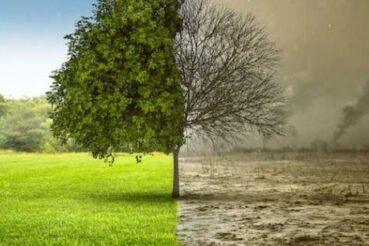 Ostatnie dni okresu przejściowego w programie Czyste Powietrze. Gmina Myślenice