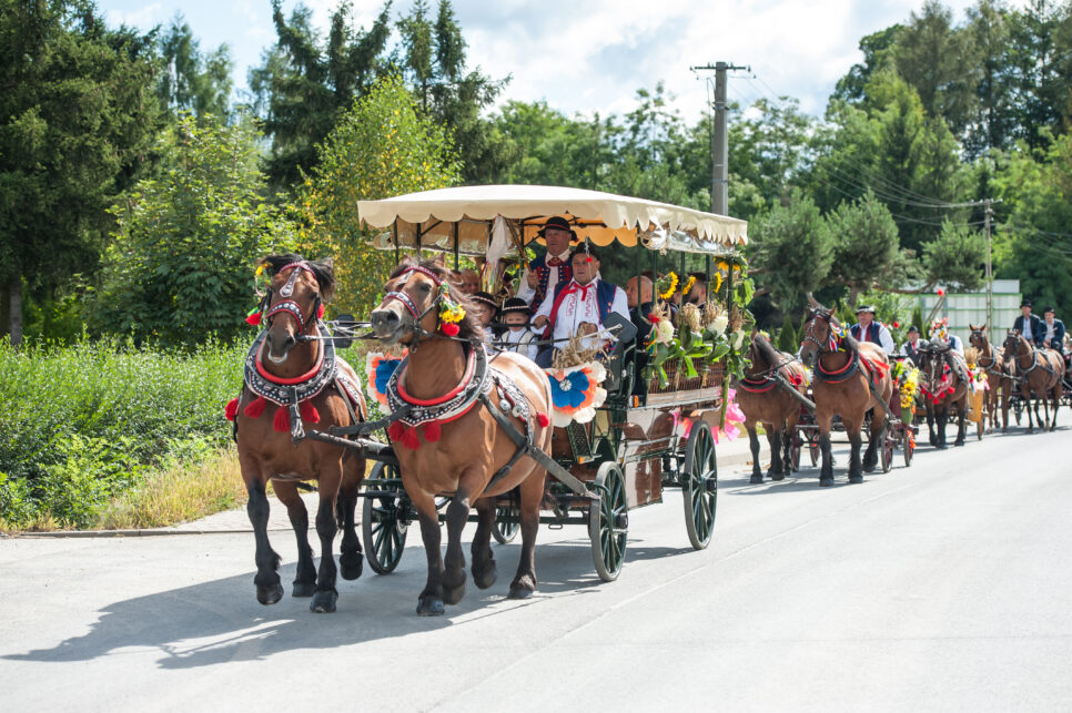 Obchody 700-lecia istnienia parafii pod wezwaniem św. Antoniego Opata w Męcinie. Gmina Limanowa