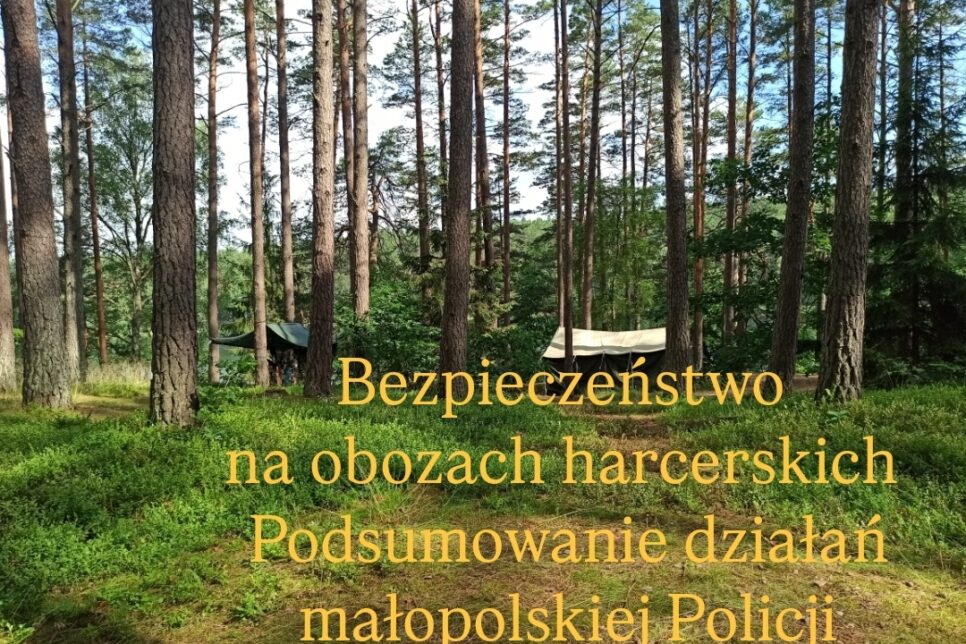 Bezpieczeństwo na obozach harcerskich – podsumowanie działań małopolskiej Policji. Dąbrowa Tarnowska