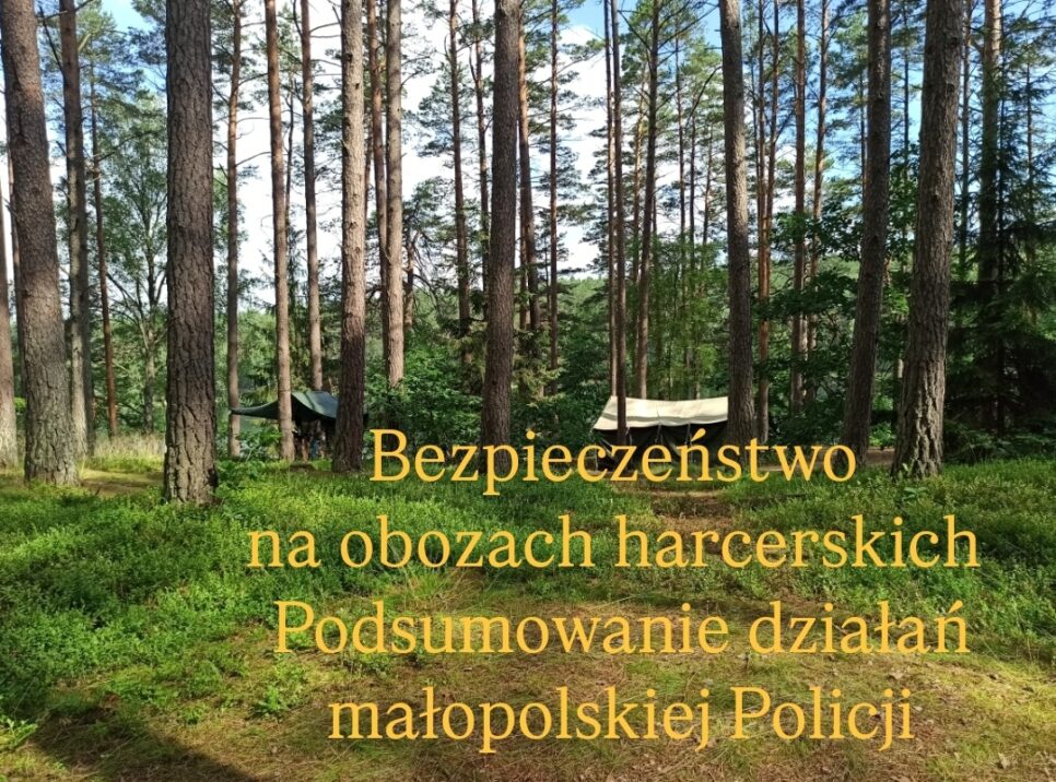 Bezpieczeństwo na obozach harcerskich – podsumowanie działań małopolskiej Policji. Dąbrowa Tarnowska