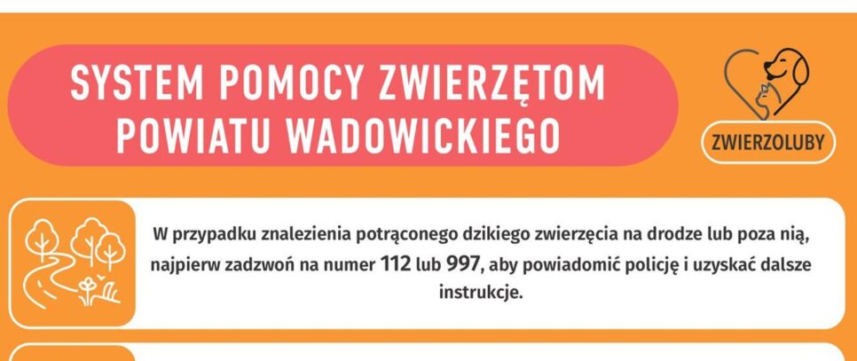 Nie bądź obojętny – reaguj na krzywdę zwierząt!. Lanckorona