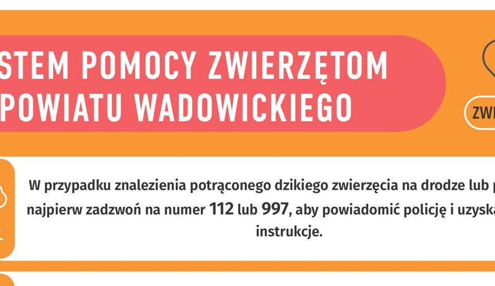 Nie bądź obojętny – reaguj na krzywdę zwierząt!. Lanckorona