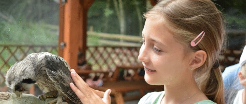 Podsumowanie Wakacji z CKSiT. Kalwaria Zebrzydowska