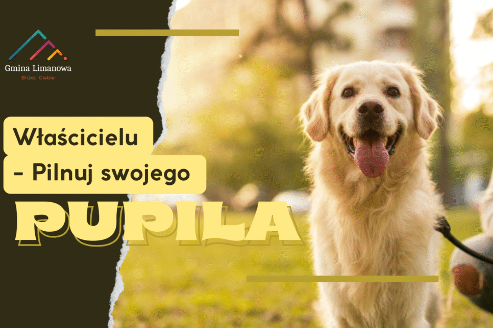 Właścicielu – pilnuj swojego pupila !. Gmina Limanowa