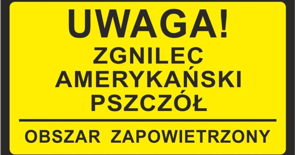 Zgnilec amerykański pszczół – choroba zakaźna pszczół – obszar zapowietrzony na terenie Miasta Gorlice. Gorlice