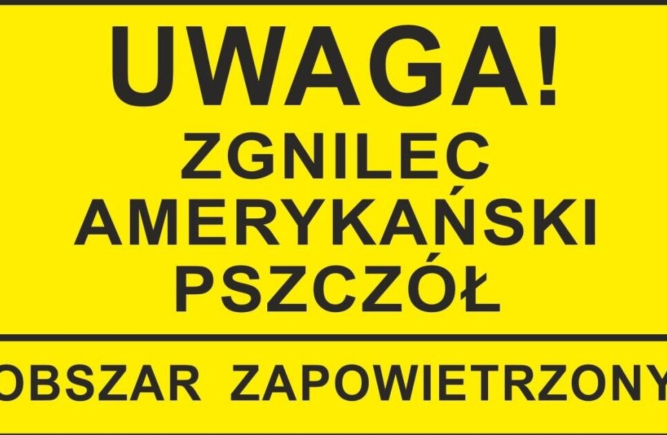 Zgnilec amerykański pszczół – choroba zakaźna pszczół – obszar zapowietrzony na terenie Miasta Gorlice. Gorlice