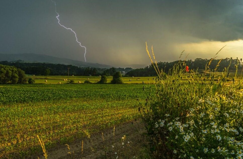 Uwaga na burze!. Gorlice