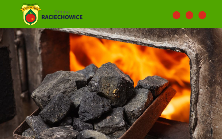 Ogłoszenie. Gmina Raciechowice