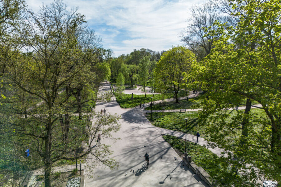 Nowy system informowania o wycinkach. Kraków