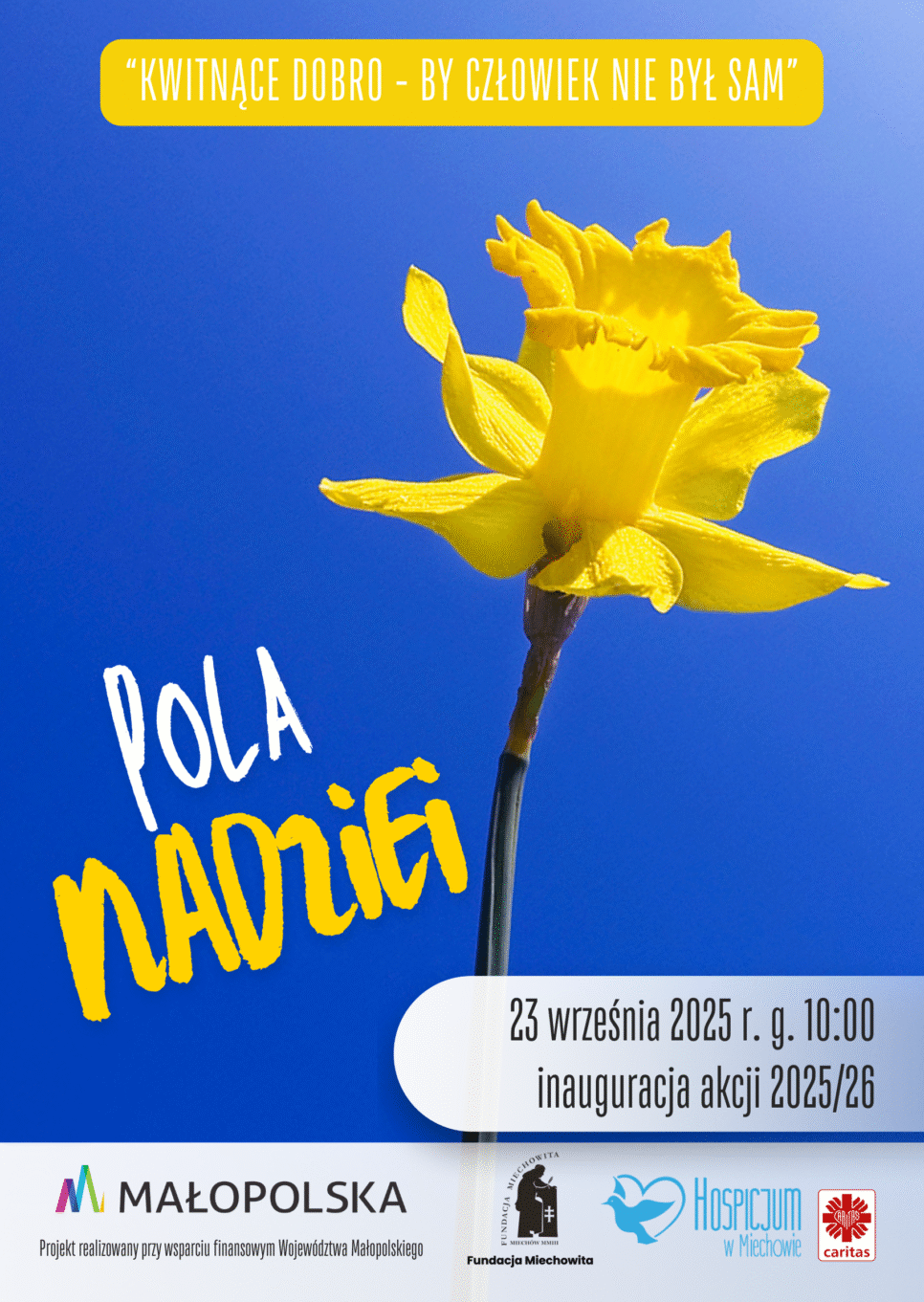 Pola Nadziei – Jesienne sadzenie żonkili w Parku Miejskim. Gmina Miechów