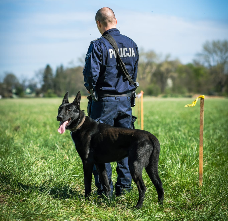 Policjant z Brzeska będąc na urlopie zatrzymał złodzieja . Brzesko