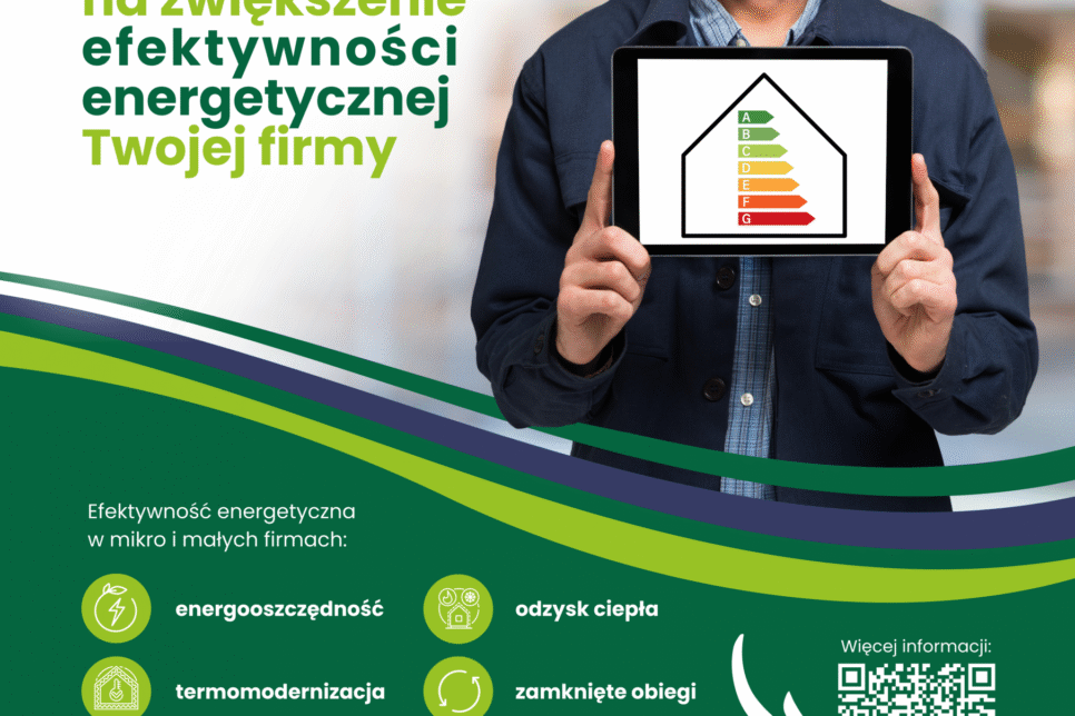 Konsultacje dla przedsiębiorców w zakresie poprawy efektywności energetycznej w mikro i w małych firmach. Powiat limanowski