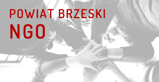 Konsultacje dotyczące programu współpracy Powiatu Brzeskiego z organizacjami pozarządowymi. Powiat Brzeski