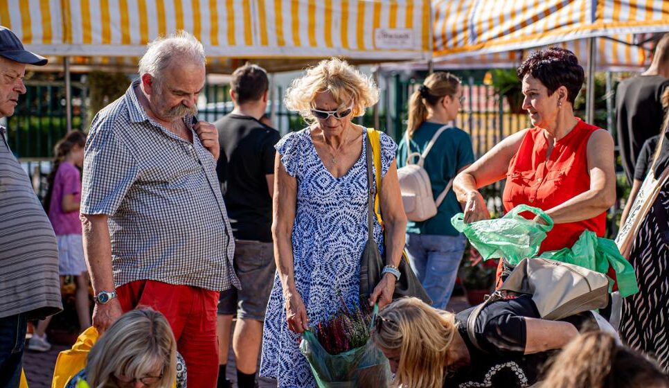 Agro Gorlice 2025 przeszło do historii. To ponad 70 wystawców, 17 KGW oraz setki odwiedzających. Gorlice