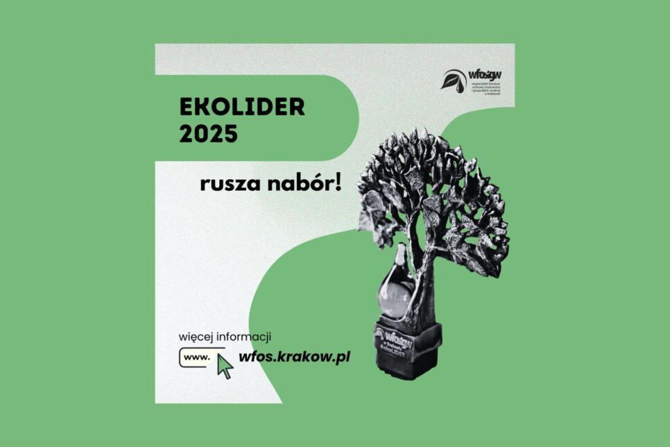 WFOŚiGW w Krakowie szuka najlepszych przedsięwzięć ekologicznych w Małopolsce!. Gmina Borzęcin