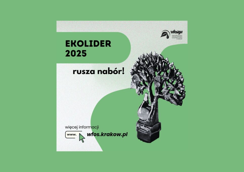 WFOŚiGW w Krakowie szuka najlepszych przedsięwzięć ekologicznych w Małopolsce!. Gmina Borzęcin