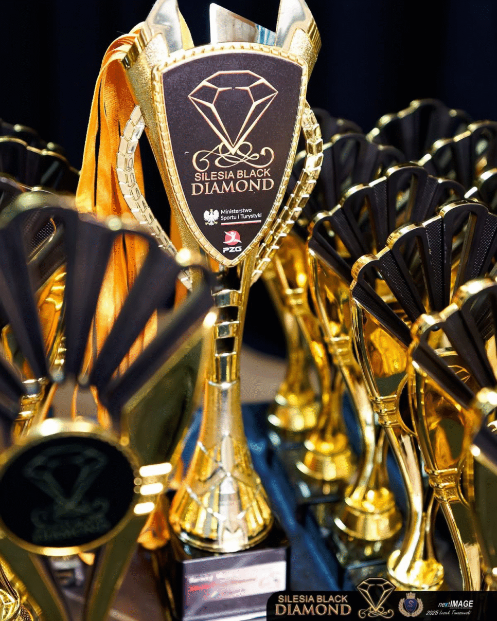 VII Międzynarodowy Turniej Gimnastyki Artystycznej „Silesia Black Diamond”. Gmina Żegocina