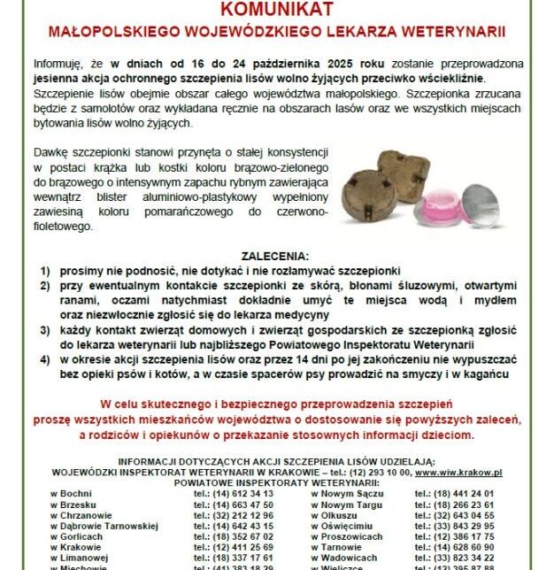 Jesienna akcja szczepienia lisów przeciwko wściekliźnie na terenie województwa małopolskiego. Gmina Jerzmanowice-Przeginia