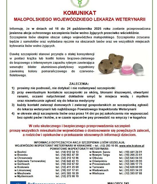 Szczepienie lisów. Gmina Kozłów