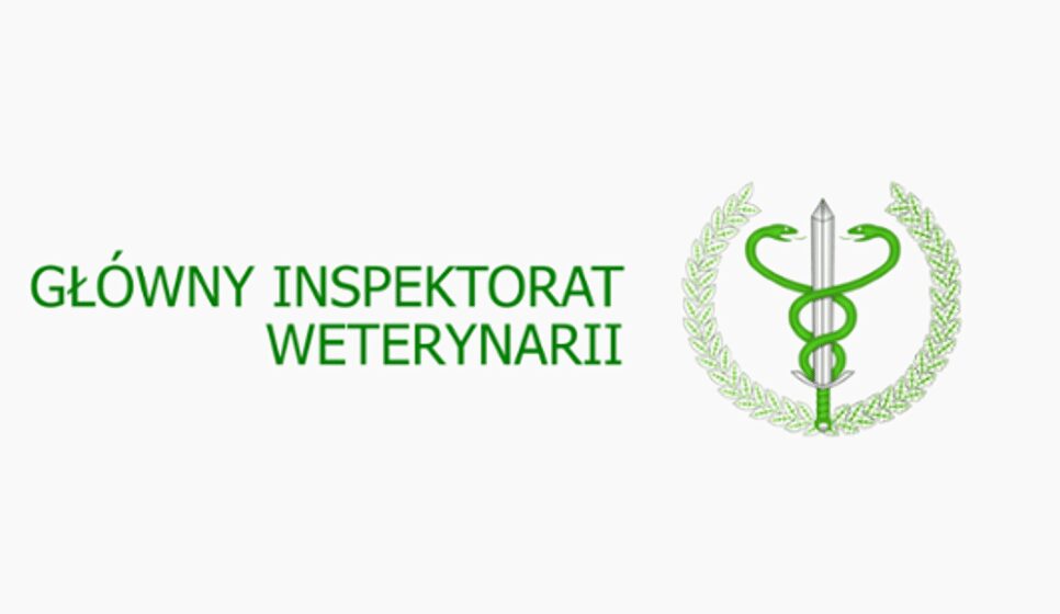 Jesienna akcja ochronnego szczepienia lisów. Lanckorona