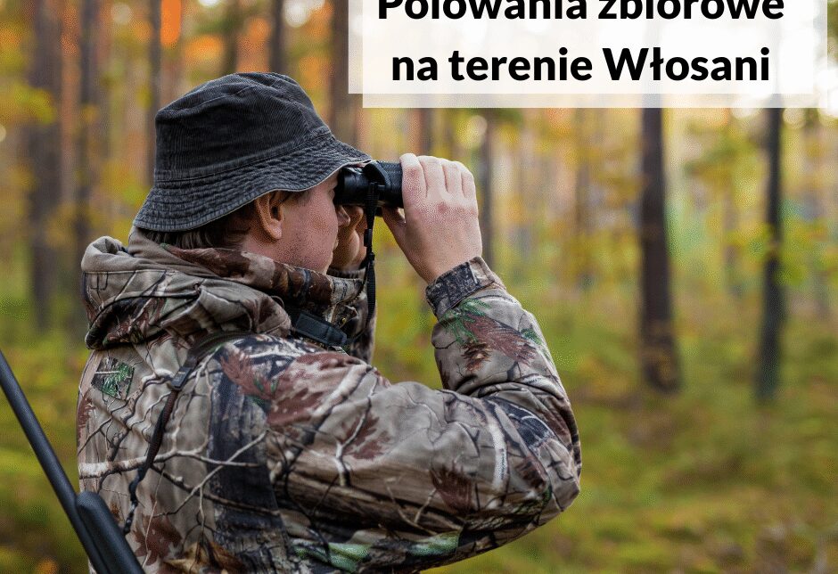 Informacja w sprawie planowanych zbiorowych polowań na terenie miejscowości Włosań. Gmina Mogilany