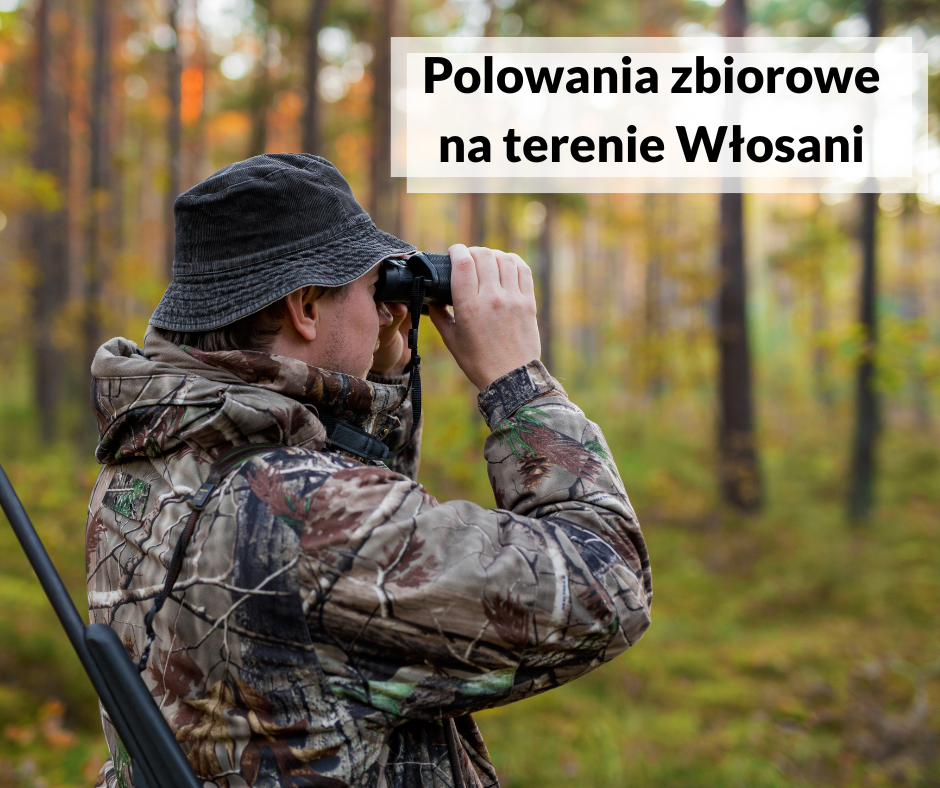 Informacja w sprawie planowanych zbiorowych polowań na terenie miejscowości Włosań. Gmina Mogilany