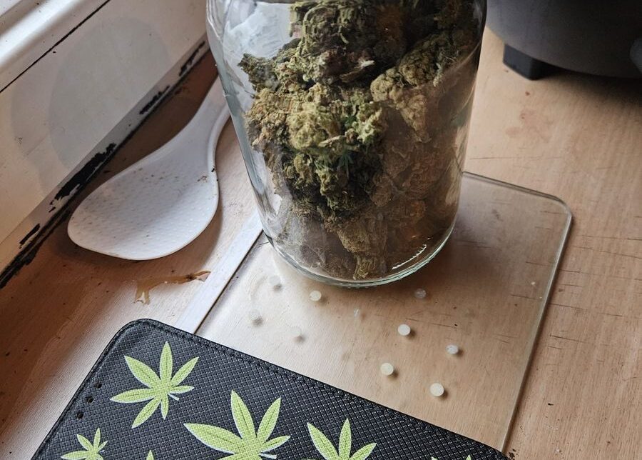 Zatrzymany z ponad 3,7 kg narkotyków – 31-latek z powiatu tarnowskiego odpowie za posiadanie znacznej ilości środków odurzających. Tarnów