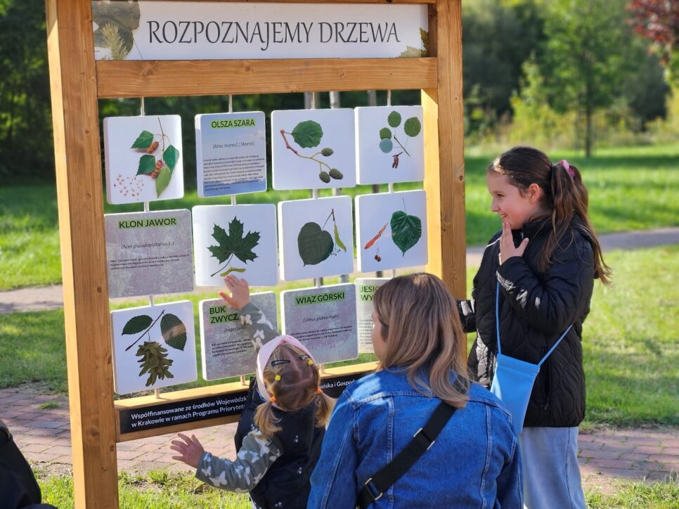 Edukacja Ekologiczna w Gminie Pcim- z ekologią za pan brat!. Gmina Pcim