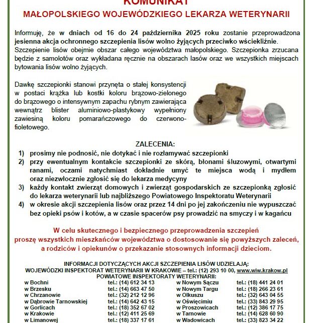 Akcja ochronnego szczepienia lisów. Gmina Trzciana